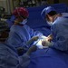 Ученые: удаление аппендикса снижает риск развития болезни Паркинсона