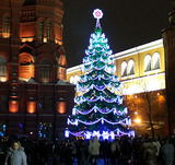 В Подмосковье выбирают главную новогоднюю ель столицы