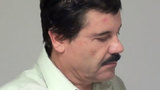 В США пообещали не казнить наркобарона Коротышку в случае экстрадиции