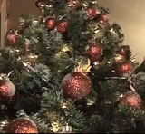 За незаконную вырубку новогодней елки грозит штраф