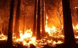 В Канаде началась эвакуация из-за лесных пожаров