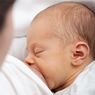 Молоко матери влияет на социальное поведение сыновей