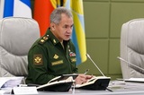Шойгу доложил Путину о выводу российских войск из Сирии