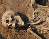 Следствие раскрыло тайну костей в подполе барнаульского дома