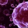 Американские ученые открыли новый смертельный вирус гриппа