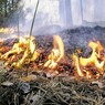 В Шатурском районе Подмосковья горит то ли лес, то ли торфяник