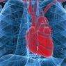 Ученые: Зимой у переживших инфаркт миокарда возрастает риск сердечного приступа