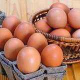 Диетологи рассказали, как правильно употреблять в пищу куриные яйца