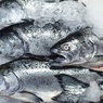 Свежая рыба пополнила список запрещенных продуктов