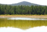 В Казахстане обнаружено озеро растительного масла