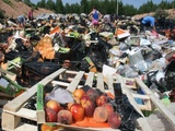 Жители Петербурга намерены провести пикеты против уничтожения еды
