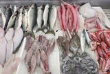 Продавец на рынке в Таиланде отрезал россиянину ухо за рыбу