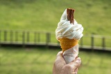 Роскачество нашло кишечную палочку и антибиотики в популярном мороженом