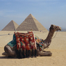 Россиянам рекомедовано отдыхать только на 4 курортах Египта