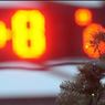 Четвертый день подряд Москва бьет температурный рекорд