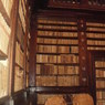 В библиотеке Гарварда найдены книги из кожи человека