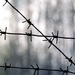 После побега особо опасных заключённых в Дагестане возбудили дело о халатности