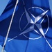 НАТО готовится к военным учениям в Черном море