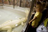Чехия: В Праге появился крокодилий зоопарк