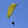 На дереве в Москве повис неудавшийся парашютист