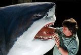 Акула - исследователям: "Отвалите от меня, противные!" (ВИДЕО)