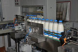 В России выросло производство молока