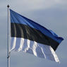 Явка на парламентских выборах в Эстонии составила 63,7%