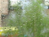 Московские дожди выполнили за сутки треть месячной нормы