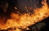 В Забайкальском крае введён режим ЧС из-за пожаров