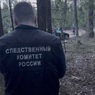 СК возбудил дело после нападения на полицейских в Подмосковье