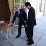 Путин не оценил "собачью дипломатию" Японии