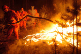 Площадь лесных пожаров в Забайкалье достигла 189 тысяч гектаров