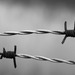 Силовики применили слезоточивый газ против мигрантов на границе с США