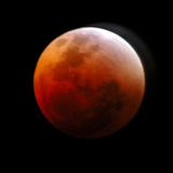 Сотни НЛО кружили над Землей в ночь "кровавой луны" – сообщили уфологи
