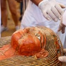 Египетские археологи нашли 30 саркофагов с мумиями Х в до н.э.
