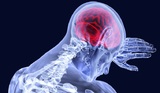 Ученые открыли, как выглядит грусть в мозге человека