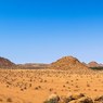 Ученые  раскрыли  появление  таинственных кругов в африканских пустынях Намибии