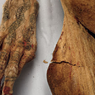 Самые древние татуировки были нанесены в лечебных целях