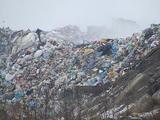 Гринпис запустил новый проект по раздельному сбору отходов