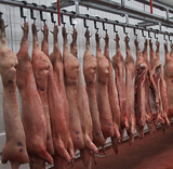 Свинина из Канады и США будет под запретом и после отмены эмбарго