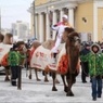 В Челябинске олимпийский огонь провезли на верблюде (ФОТО)
