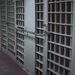 Минюст предложил лишить экстремистов права на перевод в колонии ближе к родным