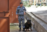 После эвакуации в ТЦ "Авиапарк" кинологи с собаками обследуют помещения