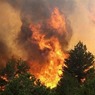 К Москве из-под Твери крадется гарь лесных пожаров ВИДЕО
