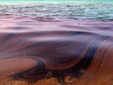 У берегов Приморья обнаружено новое нефтяное пятно