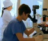 Биологам из США удалось удалить ВИЧ из генома грызунов