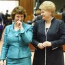 Литва обозначила приоритеты председательства в СБ ООН