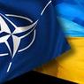 Украина рвется в НАТО "прямо сейчас", но НАТО не готово