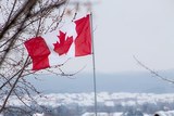 МИД Канады призвал ужесточить антироссийские санкции