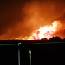 В Южной Корее объявили чрезвычайное положение из-за лесных пожаров